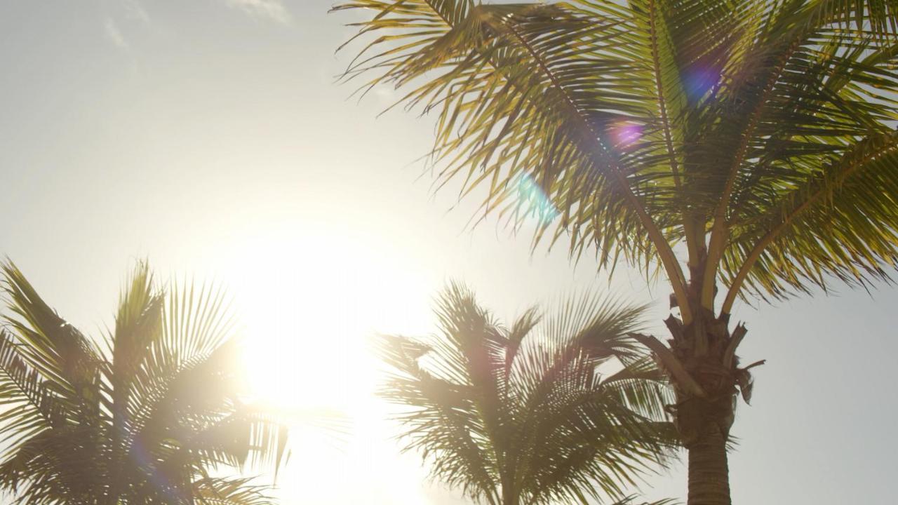 Secrets Riviera Cancun Resort & Spa (Adults Only) Puerto Morelos Buitenkant foto
